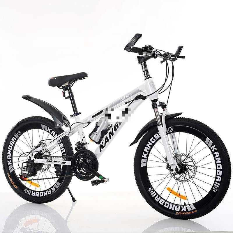 赛克山地自行车男女士变速越野自行车上班骑赛车成人轻便学生单车