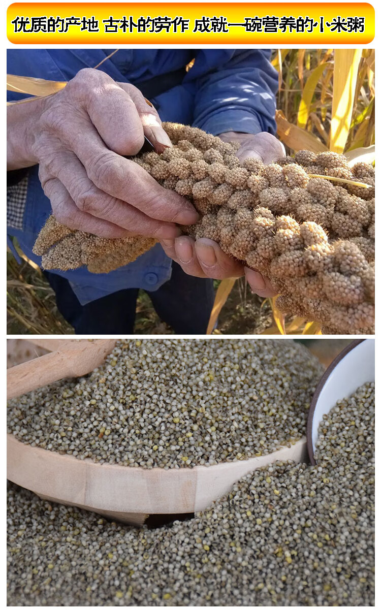 黑小米陕北特产米脂新小米农家粗粮优质杂粮小米山西5斤