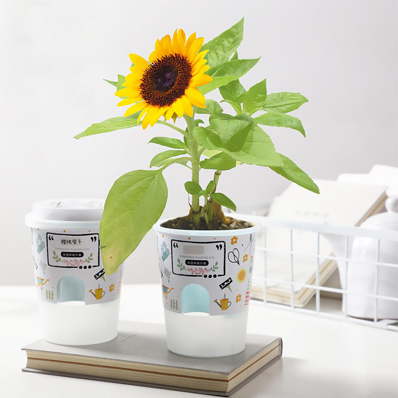 乐乐栽培diy小盆栽套件创意儿童生日礼物益智玩具科学课专用园艺含盆