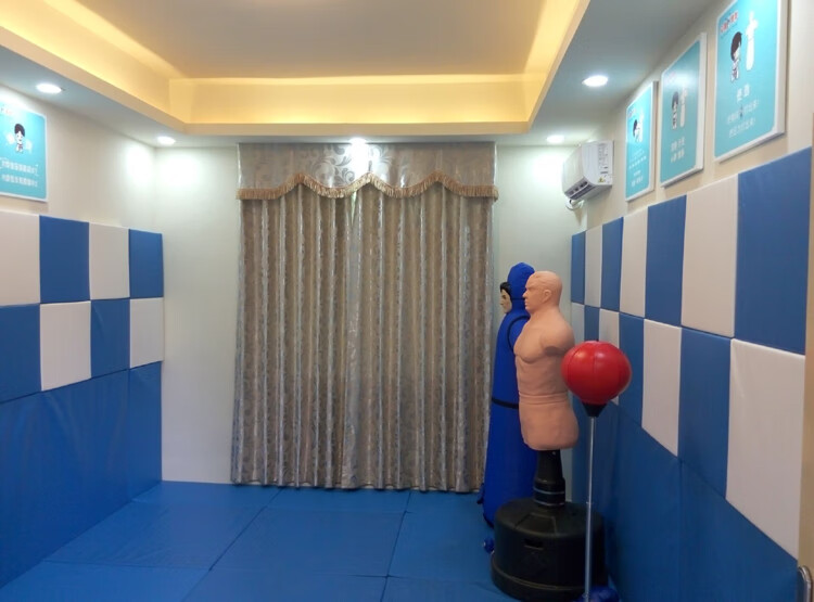 心理宣泄室发泄墙心理解压墙100cm100cm3cm