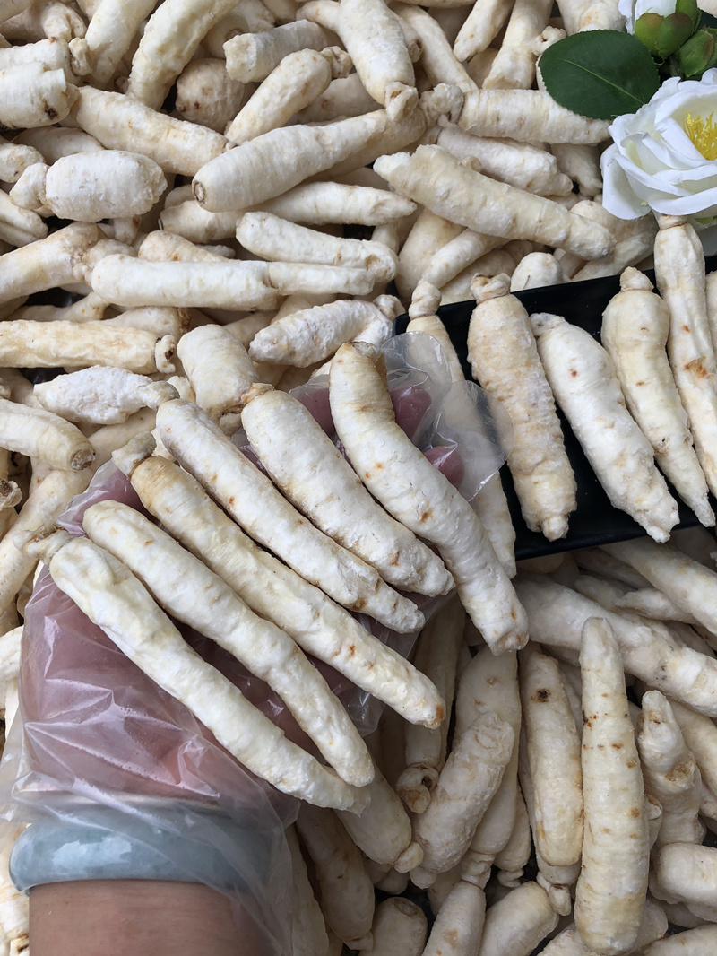 白糖参长白山糖泡参移山糖煲太子参白糖参汤果果老爹100g