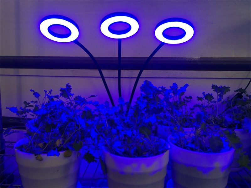 植物生长灯补光灯光合作用太阳光全光谱盆景夹子led智能定时usb太阳光