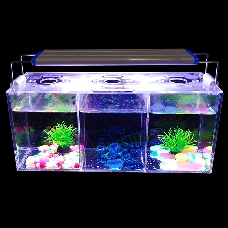 亚克力鱼缸小型生态缸办公室高透小鱼缸客厅迷你鱼缸桌面斗鱼双缸