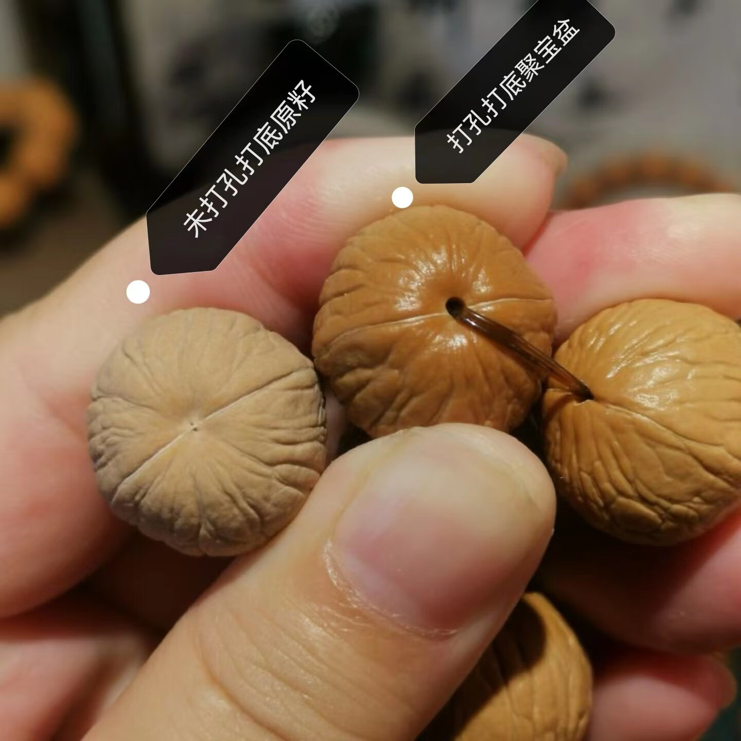 【聚宝盆】猴头核桃手串野生老树籽正圆矮桩浅纹天然凹顶文玩 红色