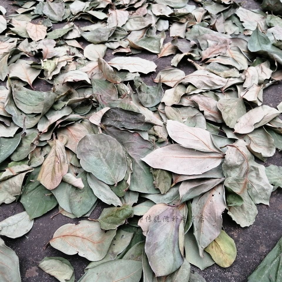 霜后柿子叶干柿子叶柿子干叶新鲜柿子叶晒干 250克霜后柿叶【野生】