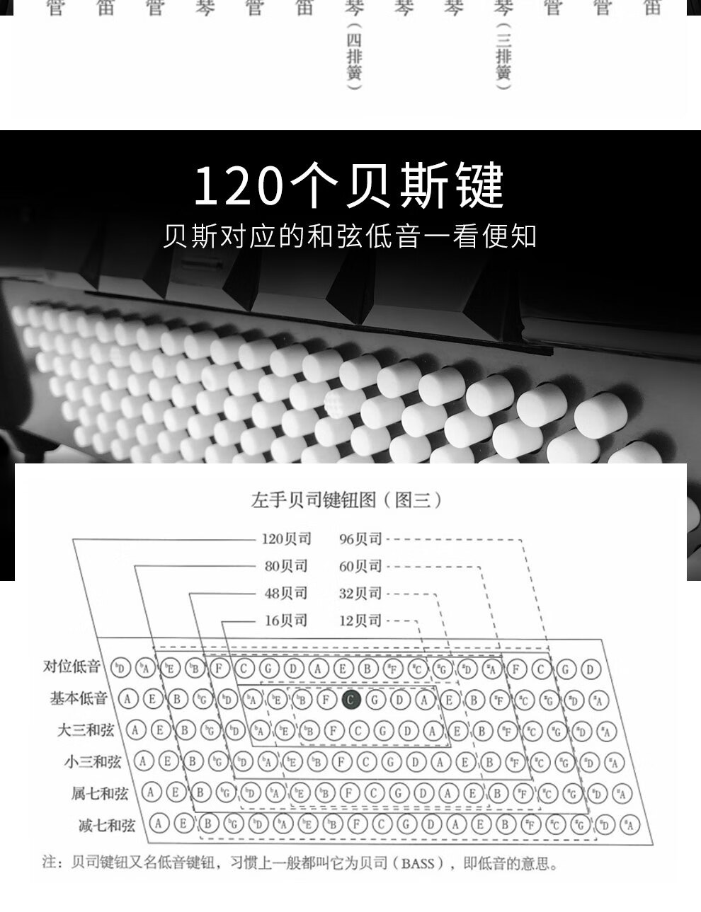 金杯手风琴乐器60贝斯司三排簧儿童成人初学者入门级专业考级手拉琴