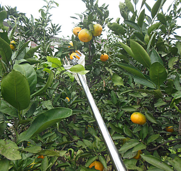 高空摘果器伸缩杆摘水果工具可采李子莲蓬果园采摘器摘芒果6米加固