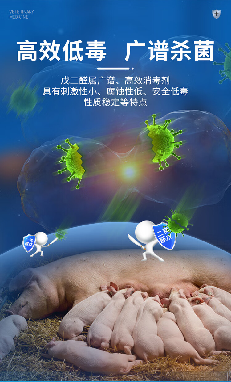 升级款猪圈消毒液养殖消毒液消毒粉消毒剂过氧乙酸猪圈牛羊圈舍鸡鸭