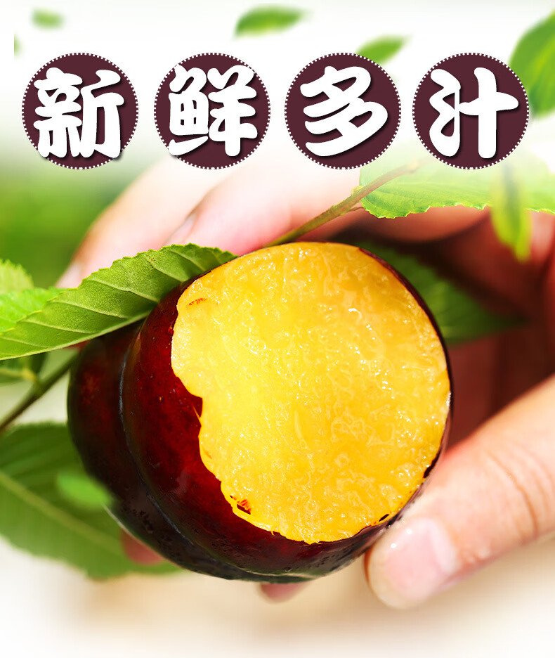 黑布林红布林李子酸甜爽口黑布林 【黑布林】2斤装【约10个左右】