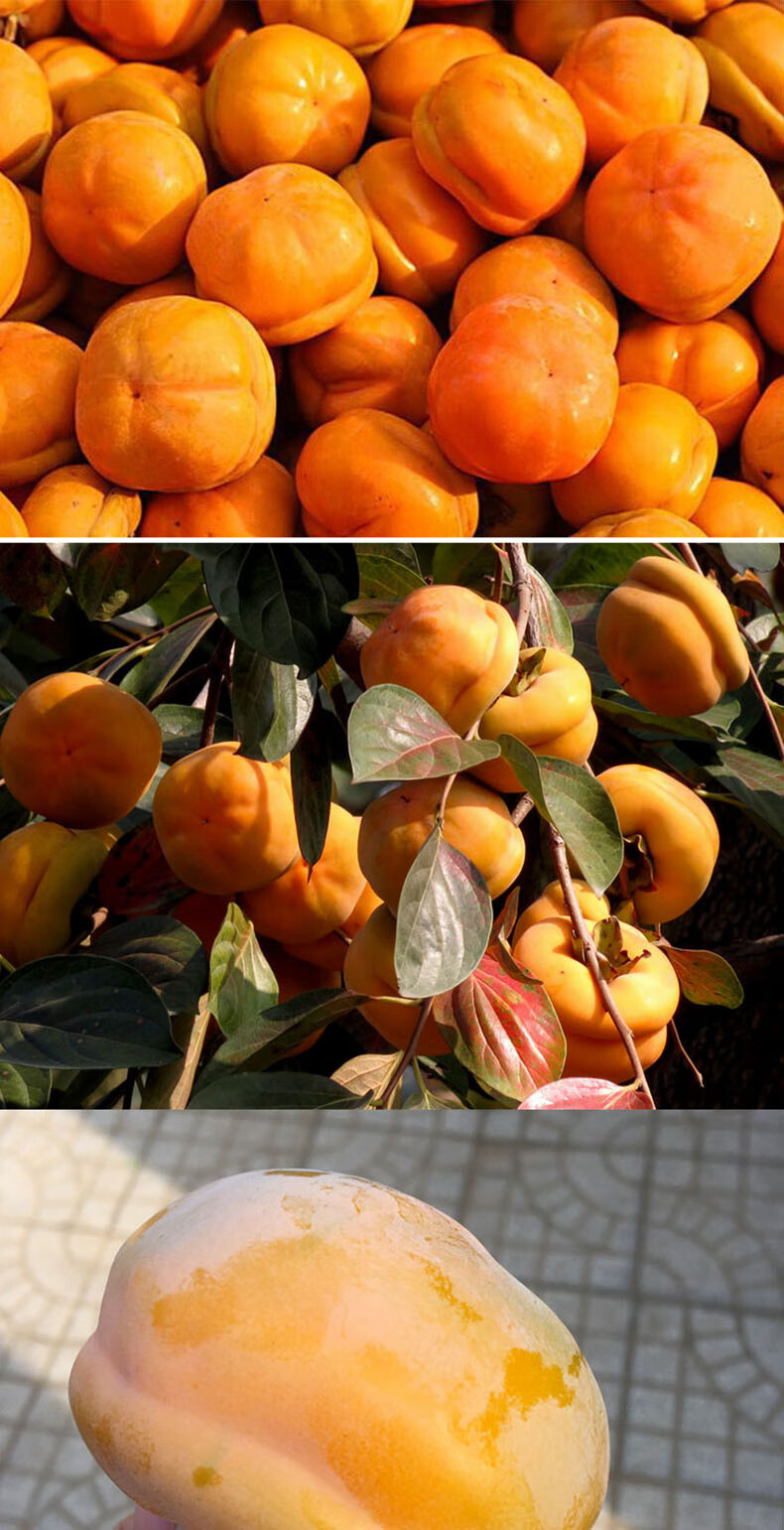 磨盘柿子 北京房山新鲜软柿子爆甜懒柿磨盘盆柿当季水果整箱脆水晶 9