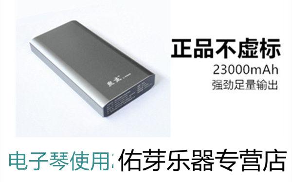 適用12v雅馬哈kb290電子琴280鋼琴291戶室外移動電源電池瓶充電寶 雙