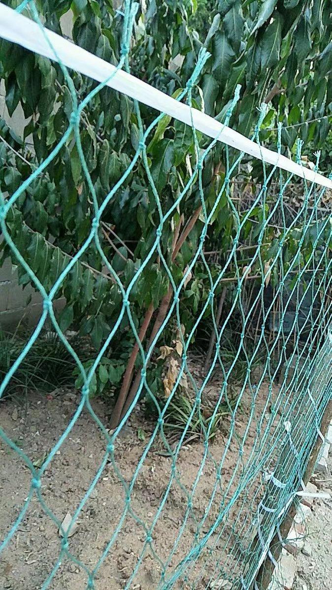 柒悦栖养鸡网养殖网围栏网护栏栅栏网子户外菜园隔离山鸡家禽尼龙塑料