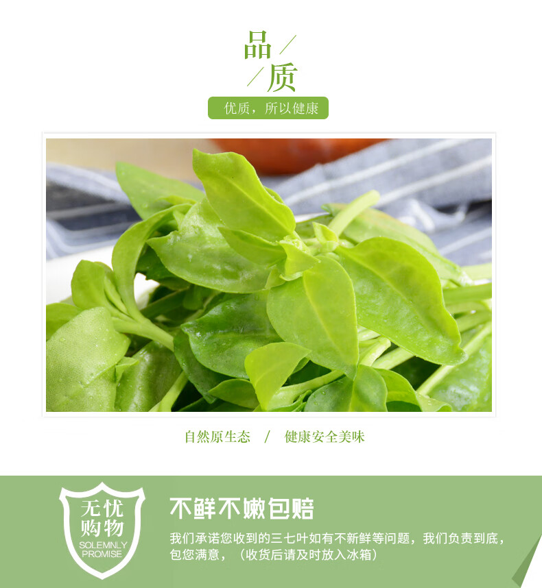 农大姐妹田七叶新鲜蔬菜现摘田七芽穿心莲三七叶3斤