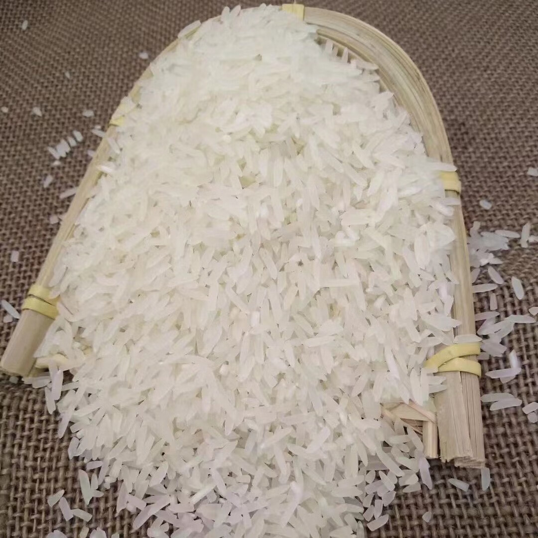 连州特产2021年新米冬米连山农家米不抛光梯田米晚造油粘米象牙米
