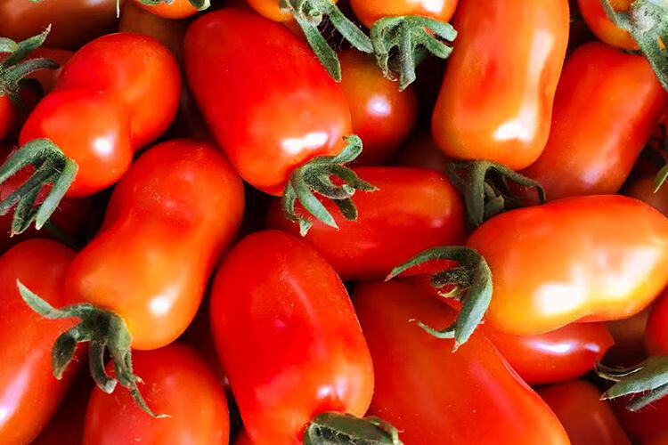 红黄花生小番茄柿子409小柿子圣女果孕妇水果特价顺丰 5斤红【图片