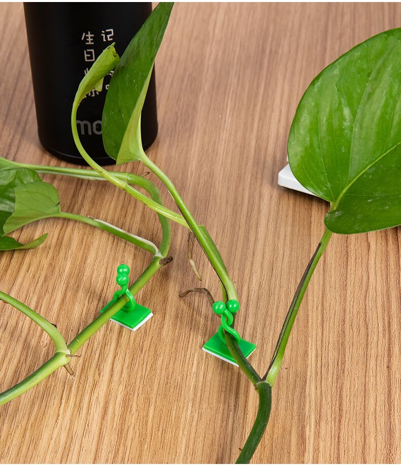 绿萝爬墙神器固定器绿植攀爬夹子无痕卡不伤墙上挂钩强力粘爬藤杆