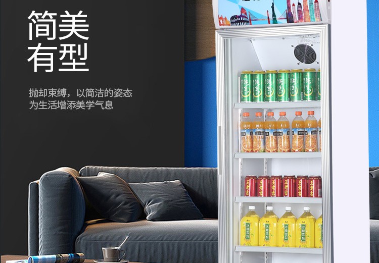 达克斯(dukers)立式展示柜商用冷藏柜单门饮料柜超市便利店啤酒柜鲜花