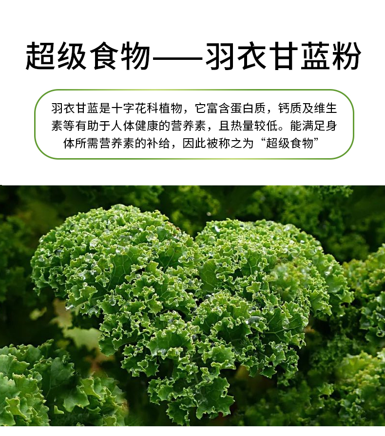 若小姐羽衣甘蓝即食冲饮蔬菜汁粉小包便携冻干果蔬粉羽衣甘蓝一盒