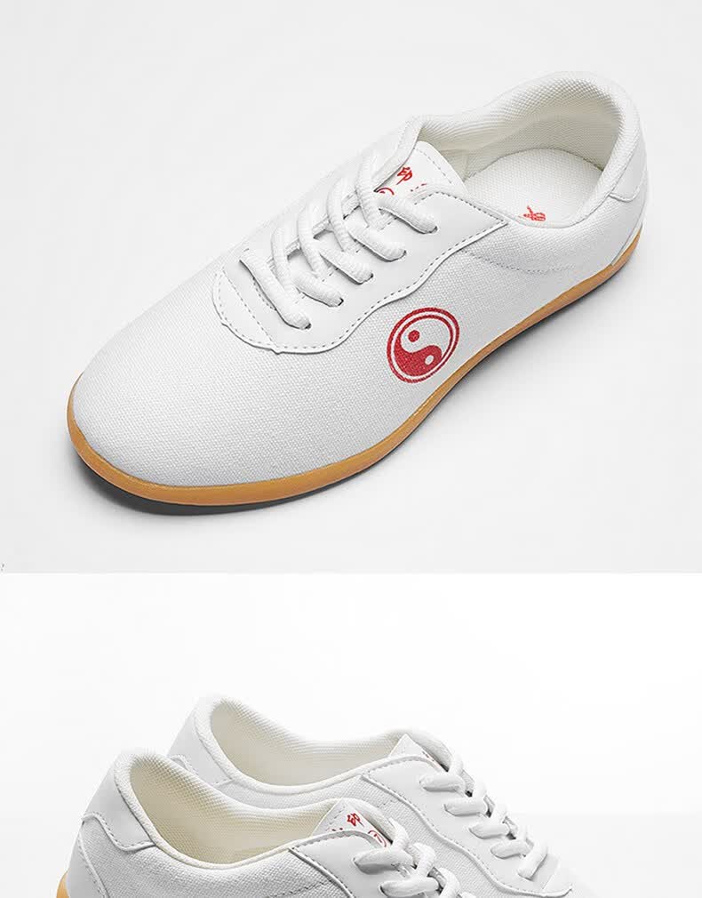 【支持】国潮回力太极鞋女帆布春夏透气武术鞋太极拳鞋练功鞋牛筋底男