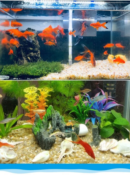 水晶砂鱼缸底砂造景河沙天然原生态水族装饰石头铺底溪流砂乌龟砂 5斤