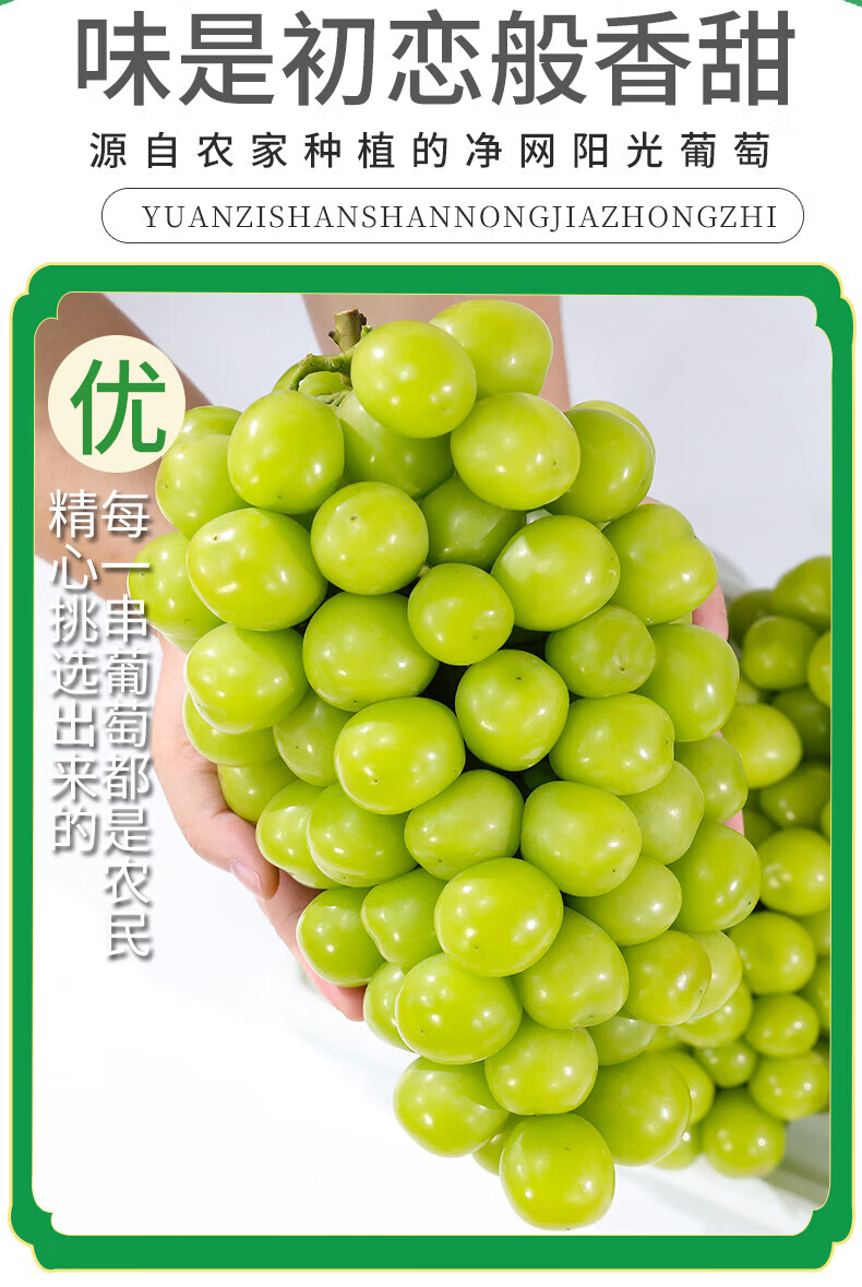 d2fe2b1eafab517e.jpg