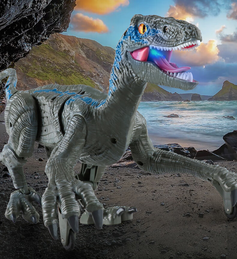 映乾 sm180棕色迅猛龙-艾科 充电套装【图片 价格 品牌 报价】-京东