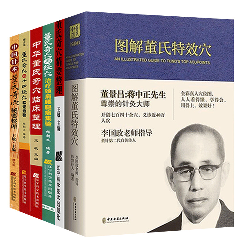 6册图解董氏穴 董景昌李国政王秀琴 董氏奇穴针灸全集 董氏奇穴中医