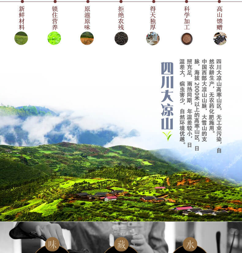 彝家山寨黑苦荞麦茶甘洛黑珍珠全胚芽茶大凉山原产1000g