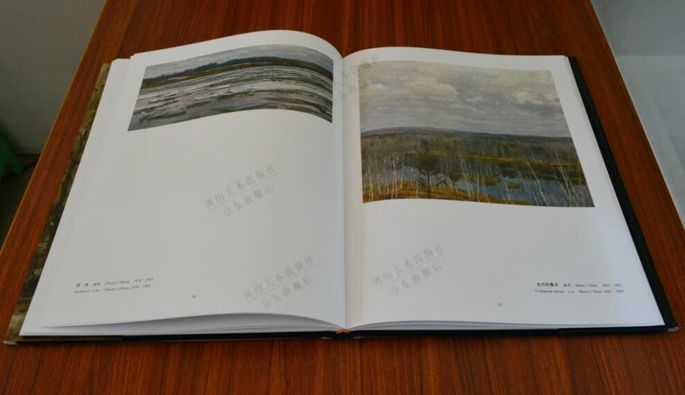 格里采 俄罗斯画家 油画书籍 油画图册 现代风景画油 山东美术出版社