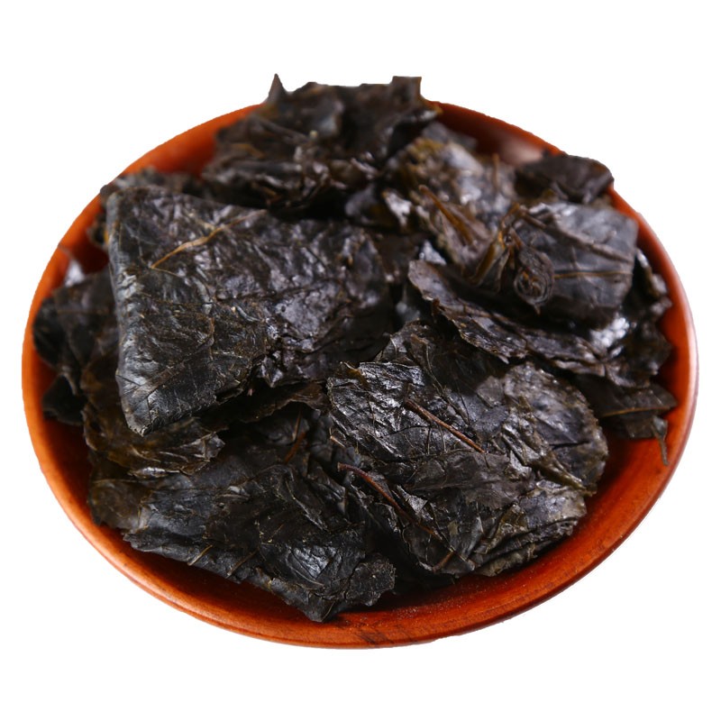 青樱红荔冬青叶四季青叶百家小叶冬青叶jx500克