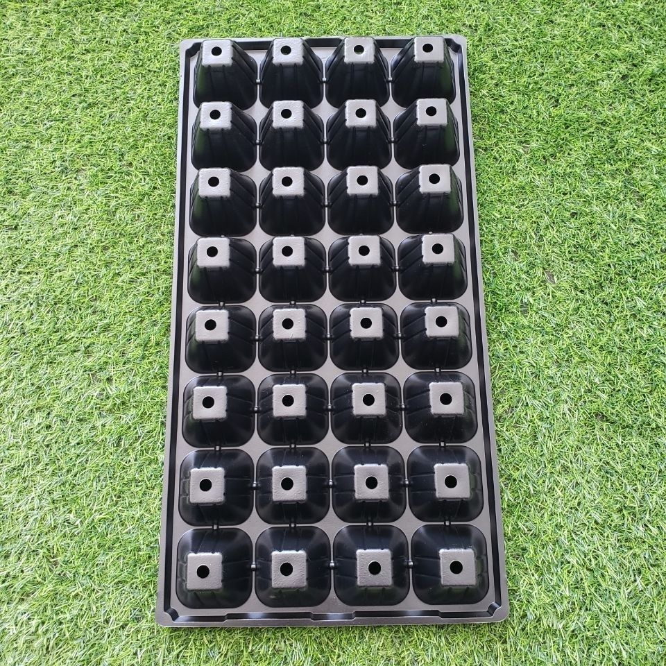 育苗盘32孔育苗盆育苗杯托盘育苗神器育苗穴盘批发蔬菜通用盘 32孔50