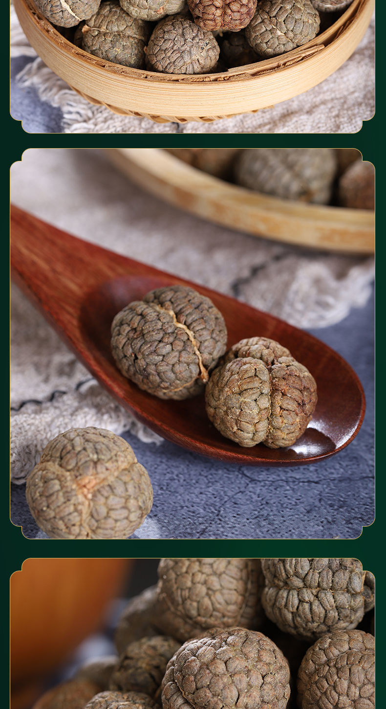 草寇仁 草豆蔻 草寇 草扣 草冦 草蔻粉卤料 香料 调料大料sn7670 草寇