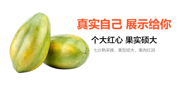 木瓜价格是多少
