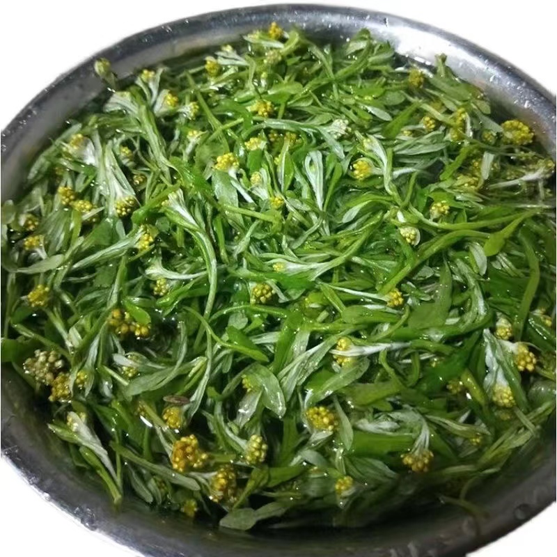 安徽安庆太湖特产农家自制水萩水菊粑青团蒿子粑毛香粑10个装 8个两种