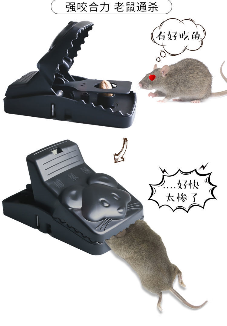【5只装】老鼠夹子自动捕鼠器家用老鼠夹灭鼠粘板笼鼠贴 2个老鼠夹