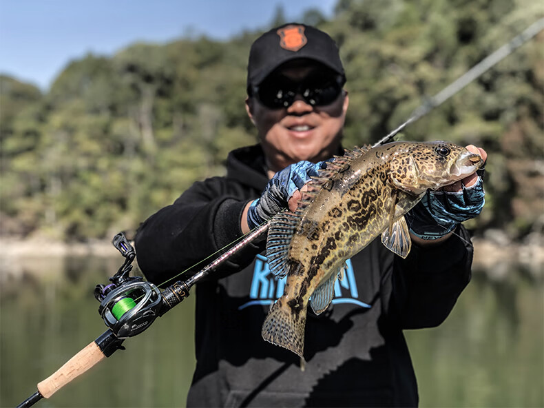 國王路亞竿蟲尊超快調鱖魚竿sic導環兩節獨節鱸魚竿超輕淡水單竿c6101