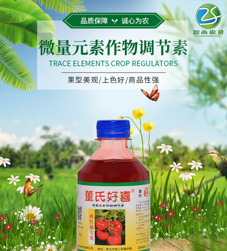 新型西红柿点花药 番茄西红柿好喜授粉点花药董氏好喜番茄点花剂坐果