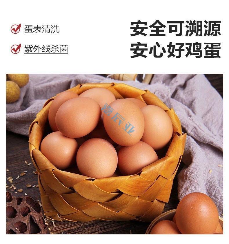 正大富硒鲜鸡蛋30枚159kg正大优选鲜鸡蛋无抗鸡蛋早餐食材正大优选鲜