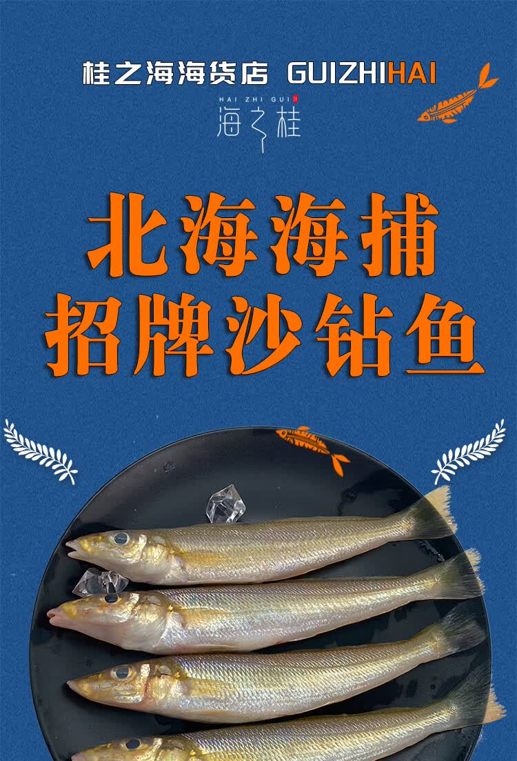 桂之海 桂(guizhihai) 北海沙钻鱼海捕沙丁鱼新鲜冷冻鲜活海鲜去鳞去