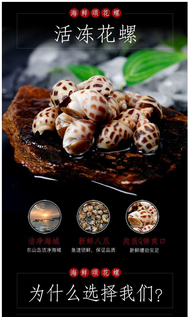 新鲜活冻花螺冷冻大海螺贝壳香螺水产海鲜全国新鲜花螺8斤劲爆批发