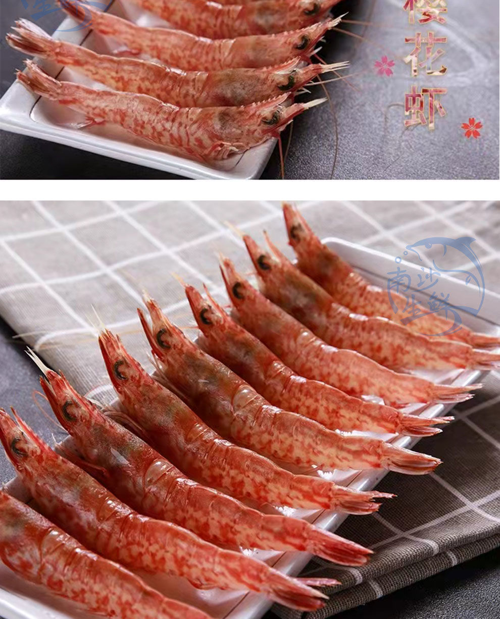 南海天然樱花虾红虾鲜活大虾刺身甜虾海虾海鲜水产批发活冻对虾五斤装
