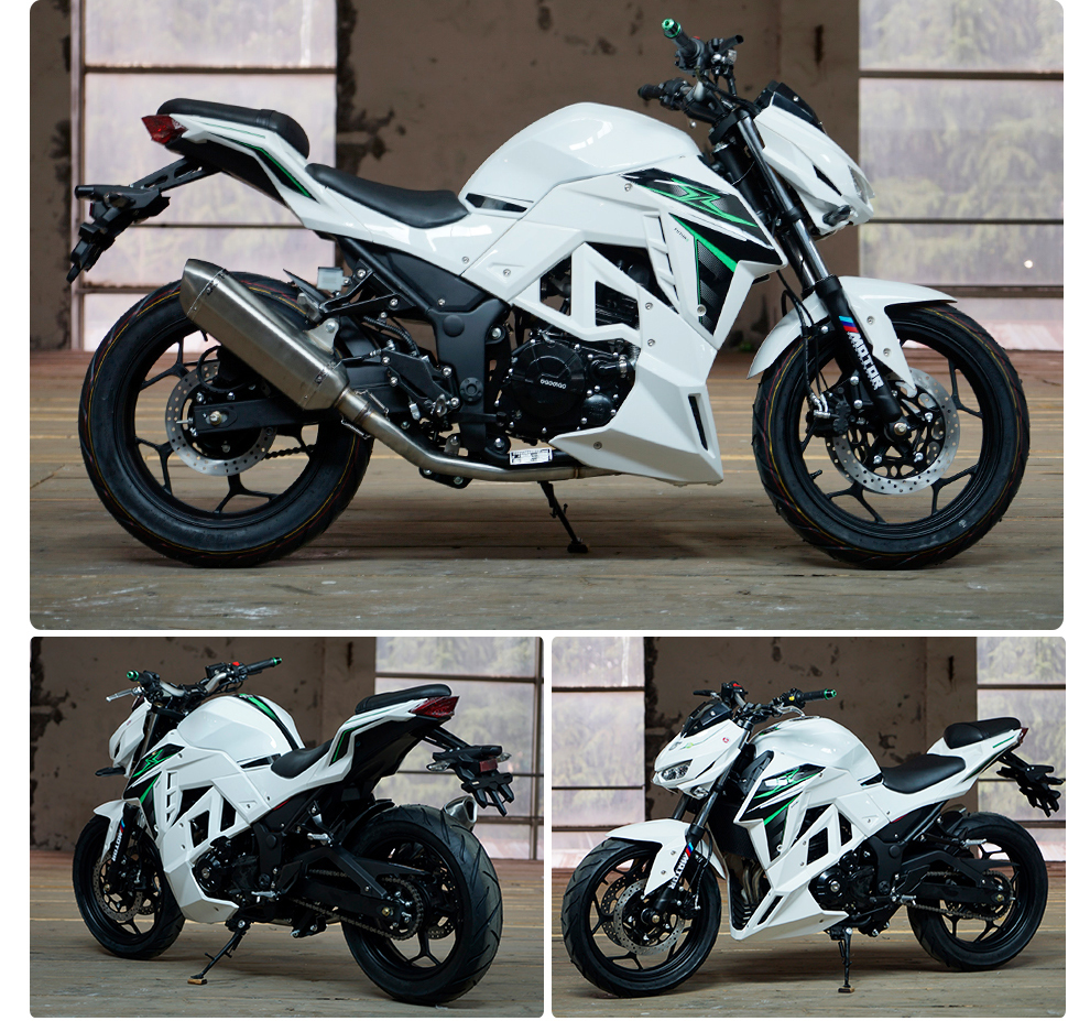 全新国四电喷大蟒蛇摩托车 z1000街跑车菜花蛇摩托车双缸水冷重型机车