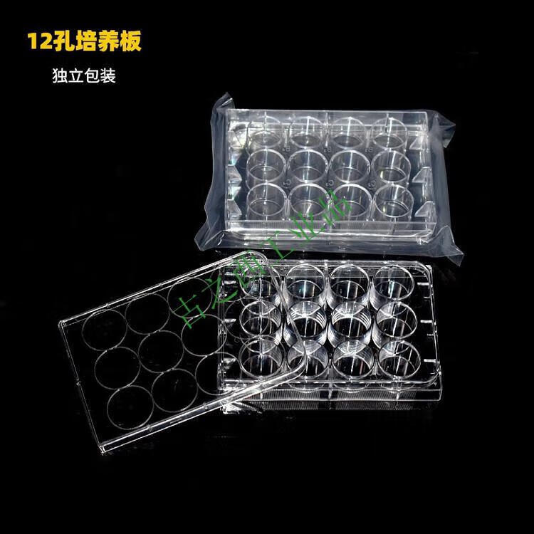 1b908a1bf701f724.jpg