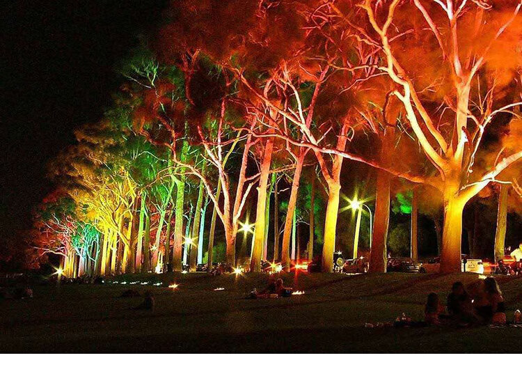 led投射灯防水户外照树草坪花园林插泥地射灯圆形投光灯cob景观灯