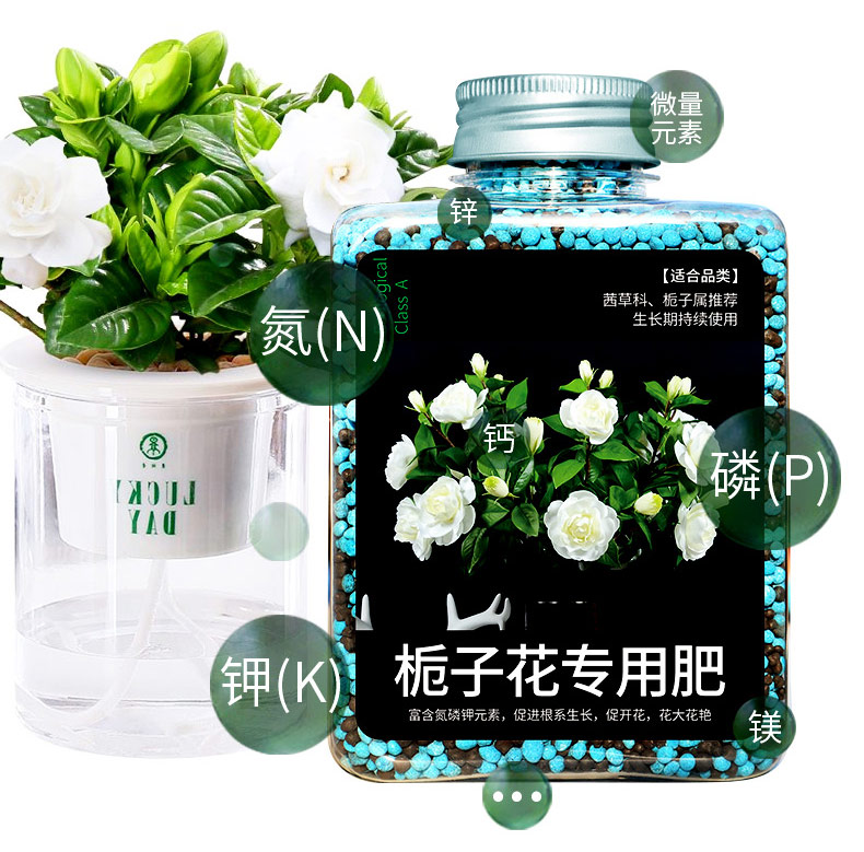 栀子花肥料专用肥家用开花肥料颗粒缓释磷钾肥花肥家用盆栽通用型