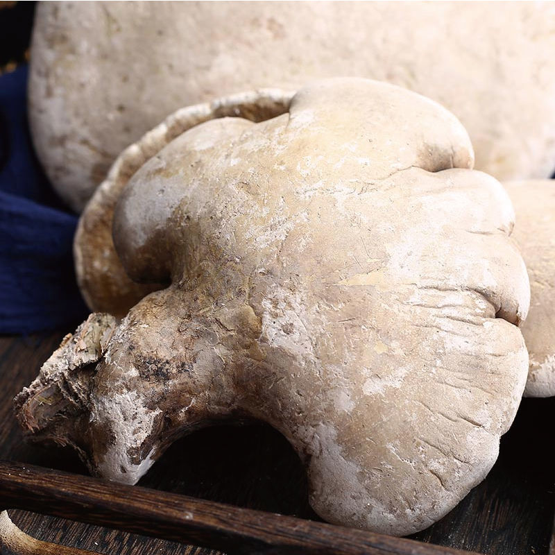 伟博白灵芝云南深山天然整个野灵芝白肉芝切片磨粉野生白灵芝100克