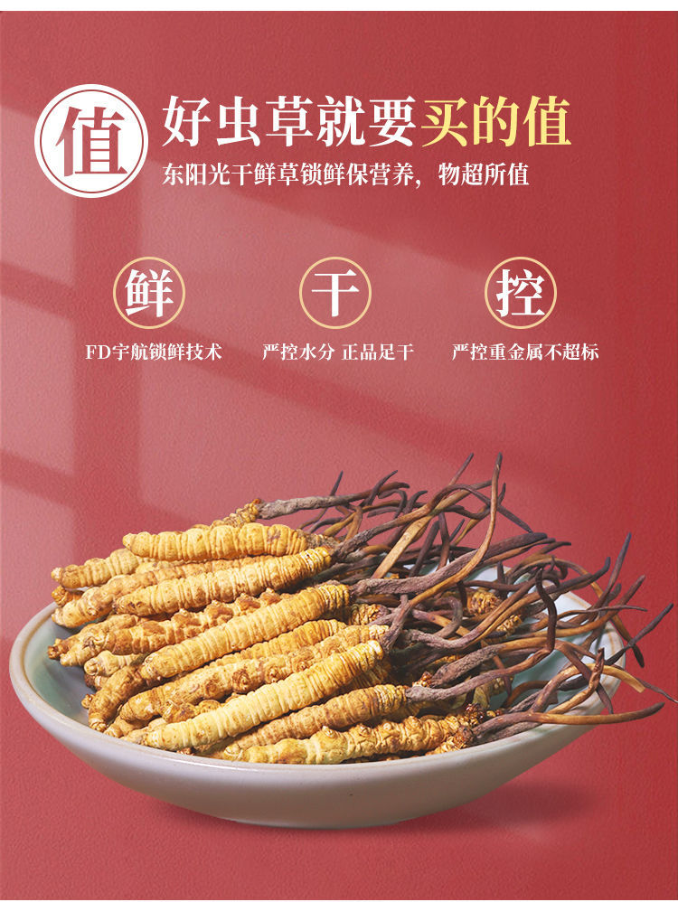 【大药房直售】东阳光鲜虫草冬虫夏草干鲜草3根尝鲜装天赐的声音滋补