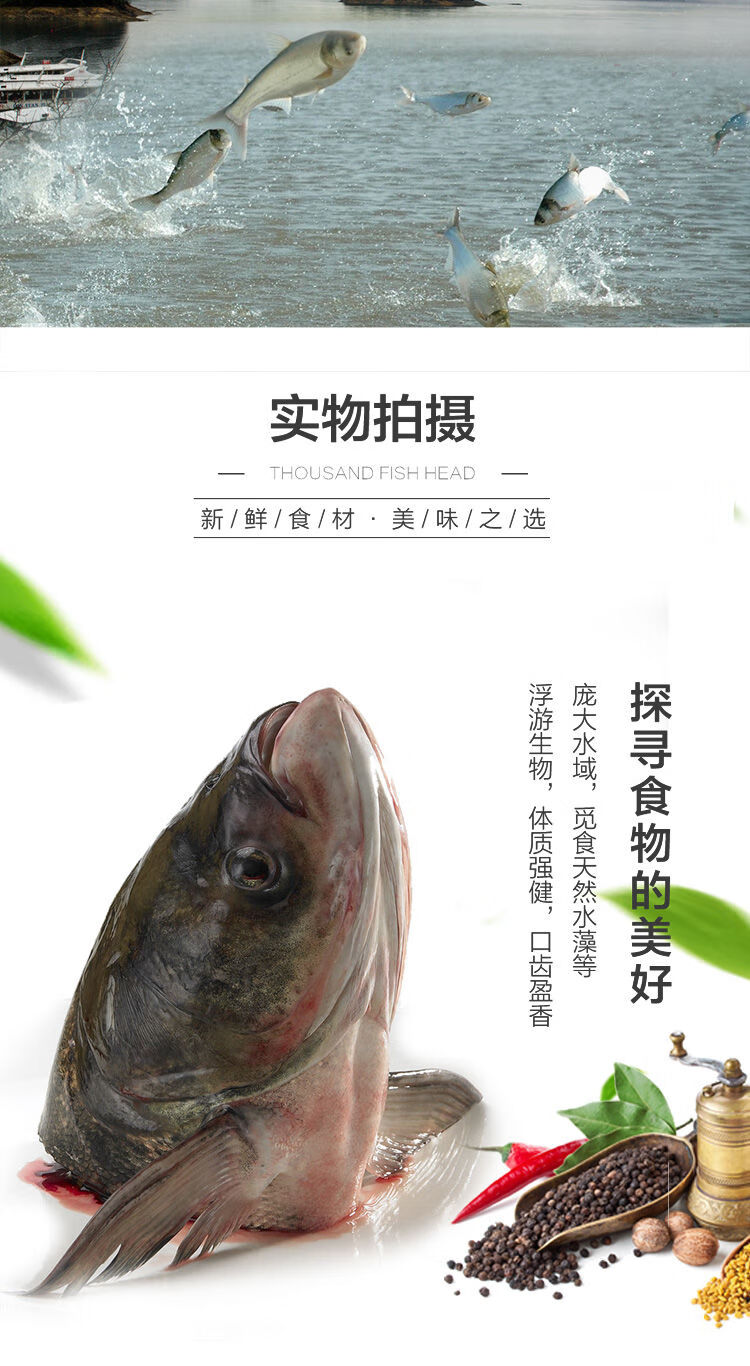 沢素灣旗艦店千島湖魚頭鱅魚頭魚頭胖頭魚花鰱魚頭剁椒魚頭生鮮魚類