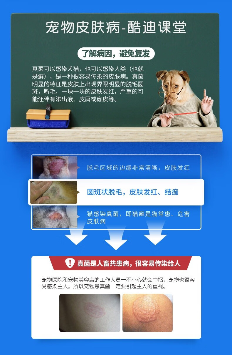 小许医生 爵氏宠菌康宠物狗狗皮肤病真菌红肿瘙痒湿疹脱毛脓皮症猫癣猫藓口服片30片 盒 图片价格品牌报价 京东