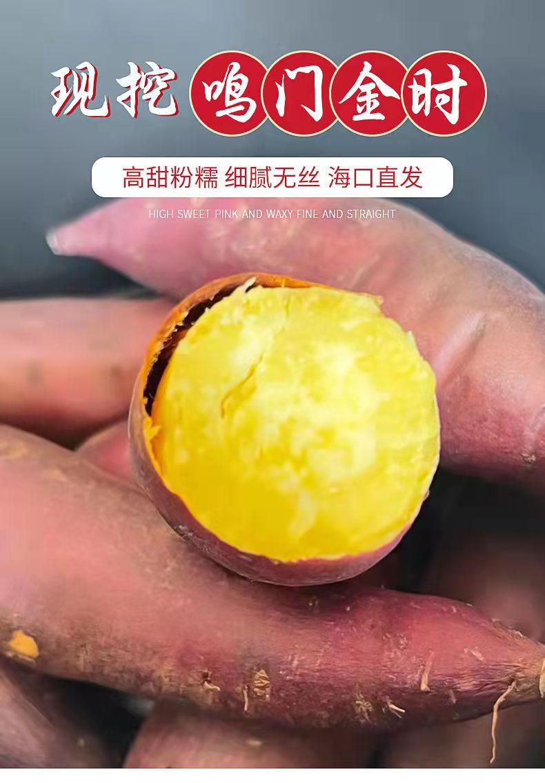 日本品种 鸣门金时 番薯板栗红薯 高甜粉糯细腻 10斤超值装 鸣门金时
